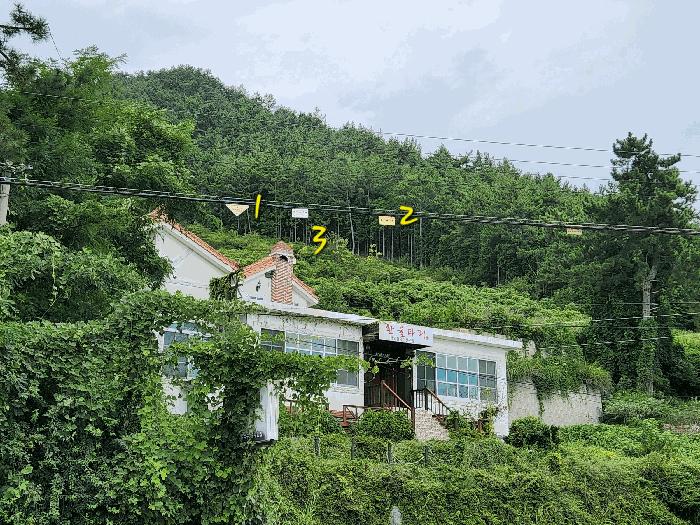 경상남도 남해군 창선면 대벽리 산57-10 임야 경매 사진 4