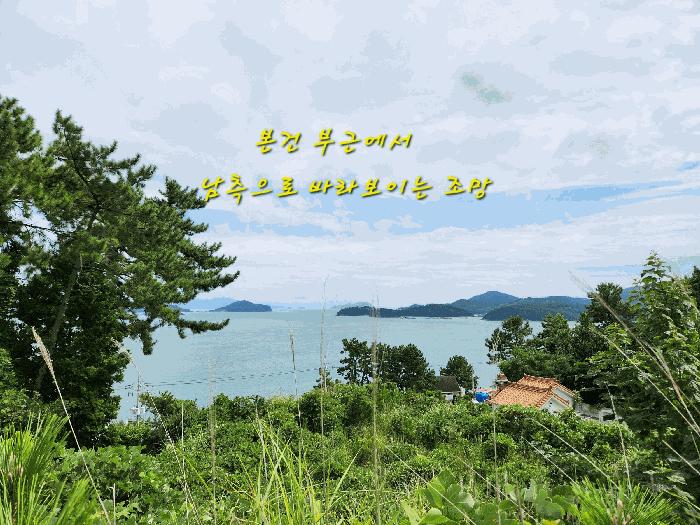 경상남도 남해군 창선면 대벽리 산57-10 임야 경매 사진 5