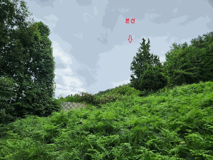 경상남도 남해군 창선면 대벽리 산57-10 임야 경매 사진 6