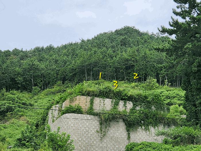 경상남도 남해군 창선면 대벽리 산57-10 임야 경매 사진 8
