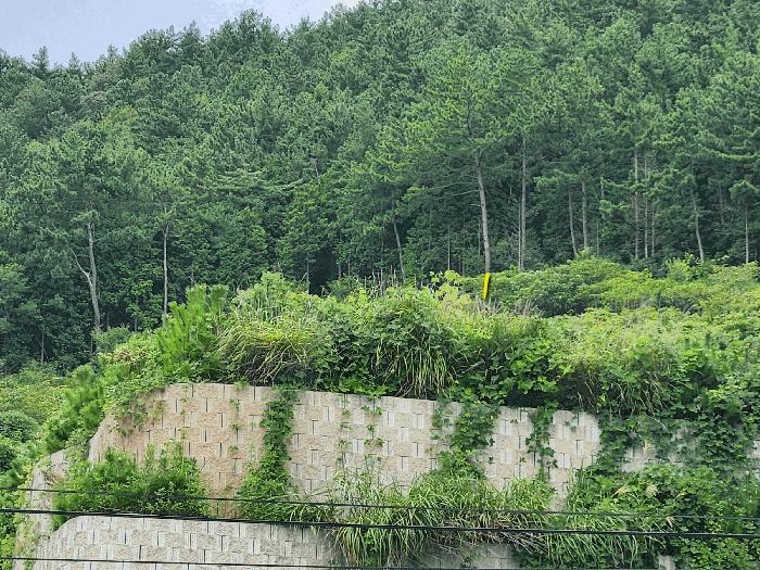 경상남도 남해군 창선면 대벽리 산57-10 임야 경매 사진 9
