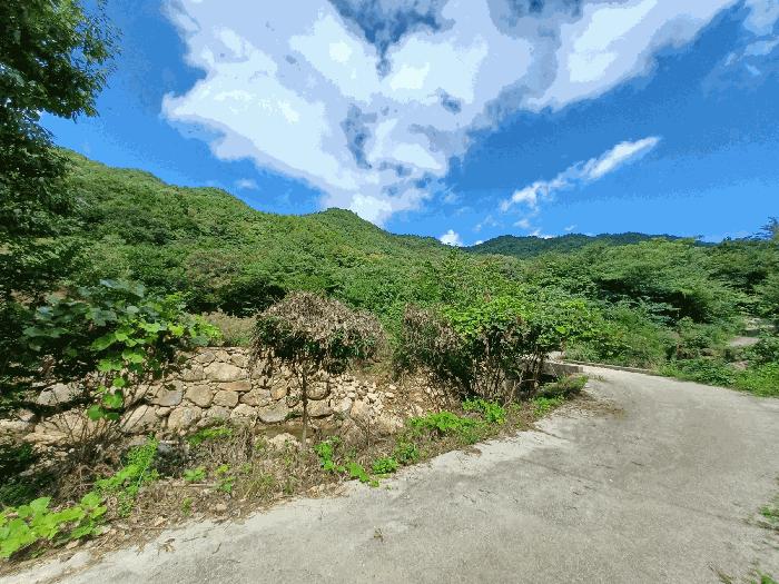경상남도 하동군 화개면 부춘리 산15-1 임야 경매 사진 3