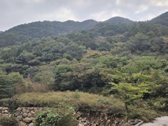 경상남도 하동군 화개면 부춘리 산15-1 임야 경매 사진 7