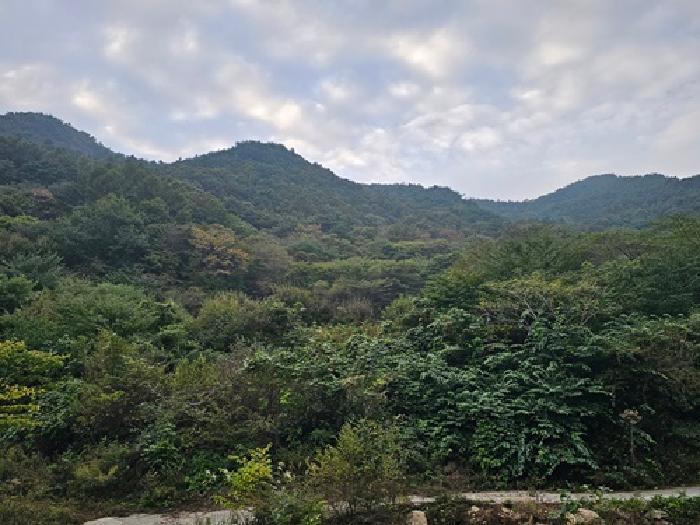 경상남도 하동군 화개면 부춘리 산15-1 임야 경매 사진 8