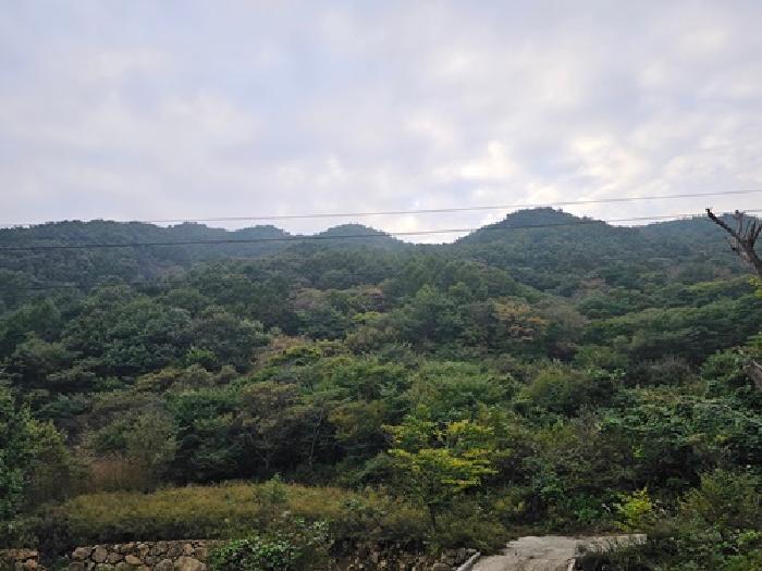 경상남도 하동군 화개면 부춘리 산15-1 임야 경매 사진 9