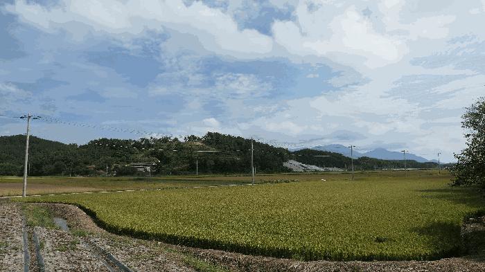 경상남도 사천시 서포면 선전리 328-1 답 경매 사진 1