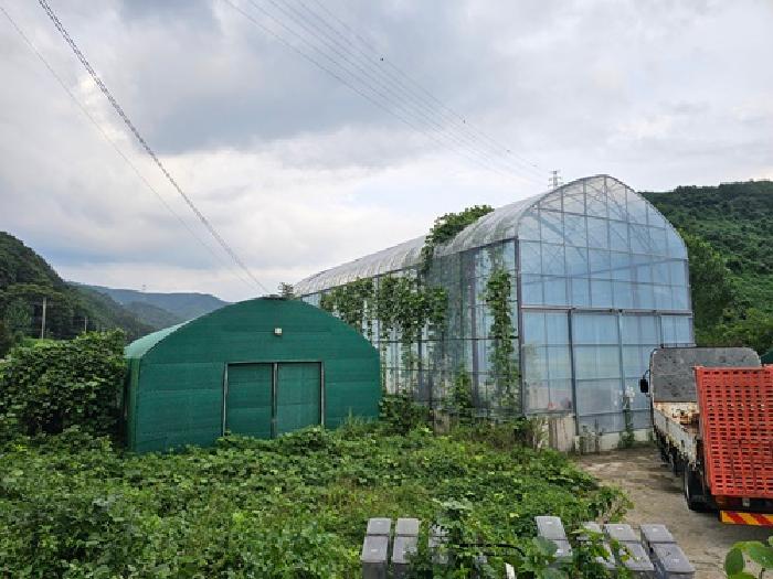 경상남도 진주시 미천면 상미리 703-3 답 경매 사진 11