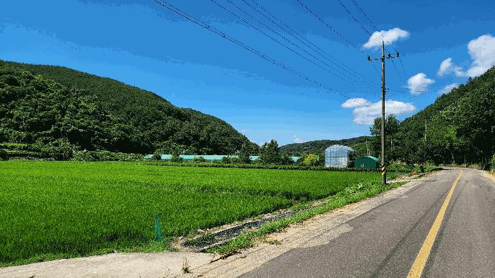 경상남도 진주시 미천면 상미리 703-3 답 경매 사진 7