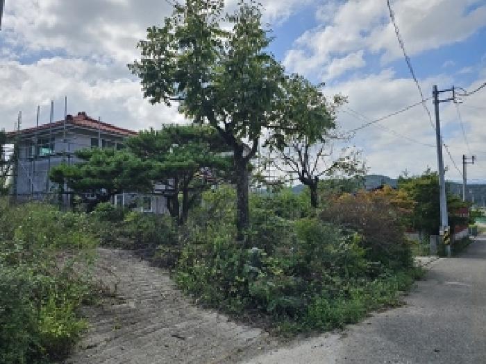 경상남도 산청군 신안면 청현리 409-3 주택 경매 사진 13