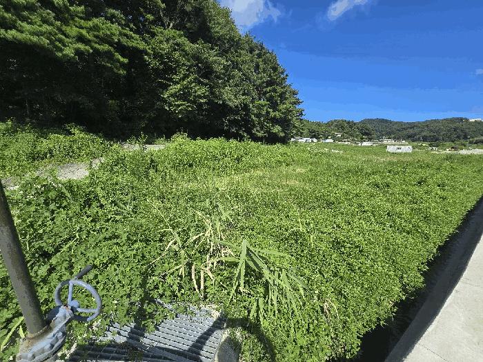 경상남도 남해군 삼동면 동천리 949 답 경매 사진 2