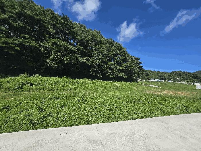 경상남도 남해군 삼동면 동천리 949 답 경매 사진 3