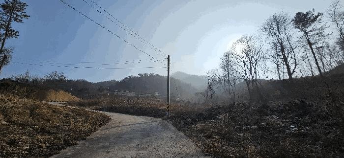 경기도 양평군 서종면 도장리 102-16 임야 경매 사진 3