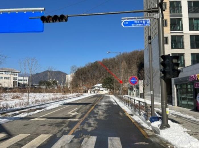 경기도 양평군 용문면 두담길 10, 113동 1층105호 (용문역반도유보라아이비파크)구) 경기도 양평군 용문면 다문리 1107 아파트 경매 사진 4