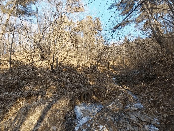 경기도 양평군 강상면 강남로 867, 202동 14층1403호 (양평현대성우아파트2단지)구) 경기도 양평군 강상면 병산리 1206 아파트 경매 사진 4