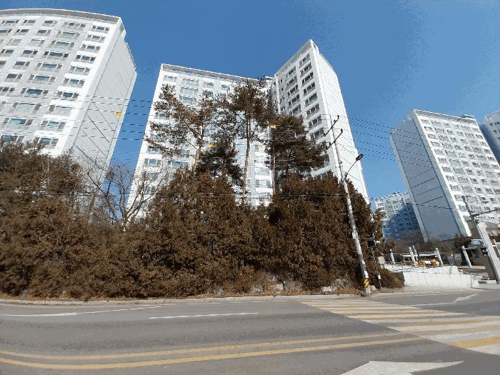 경기도 양평군 강상면 강남로 867, 202동 14층1403호 (양평현대성우아파트2단지)구) 경기도 양평군 강상면 병산리 1206 아파트 경매 사진 6