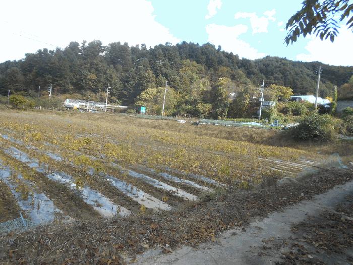 강원특별자치도 철원군 근남면 잠곡리 1015 답 경매 사진 1