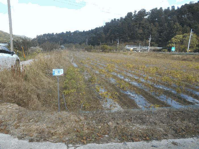 강원특별자치도 철원군 근남면 잠곡리 1015 답 경매 사진 2