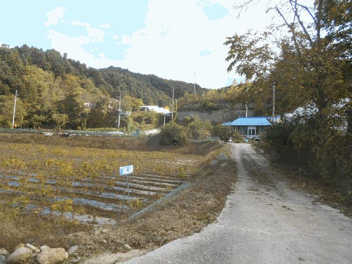 강원특별자치도 철원군 근남면 잠곡리 1015 답 경매 사진 3