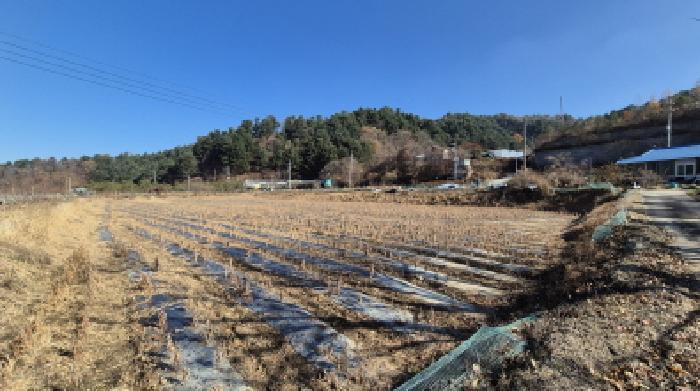 강원특별자치도 철원군 근남면 잠곡리 1015 답 경매 사진 5