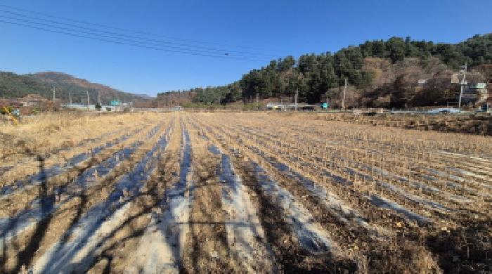 강원특별자치도 철원군 근남면 잠곡리 1015 답 경매 사진 7