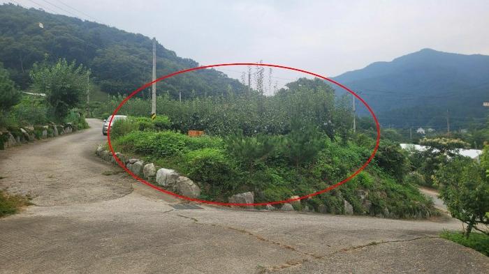 경기도 양평군 용문면 연수리 455-6 전 경매 사진 1