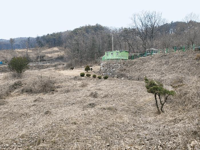 경기도 양평군 강상면 세월리 561-3 전 경매 사진 11
