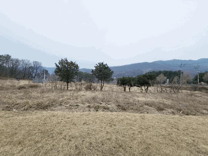 경기도 양평군 강상면 세월리 561-3 전 경매 사진 2