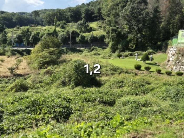 경기도 양평군 강상면 세월리 561-3 전 경매 사진 5