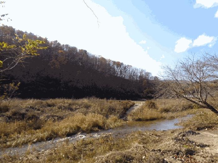 강원특별자치도 고성군 현내면 사천리 산17-2 임야 경매 사진 8