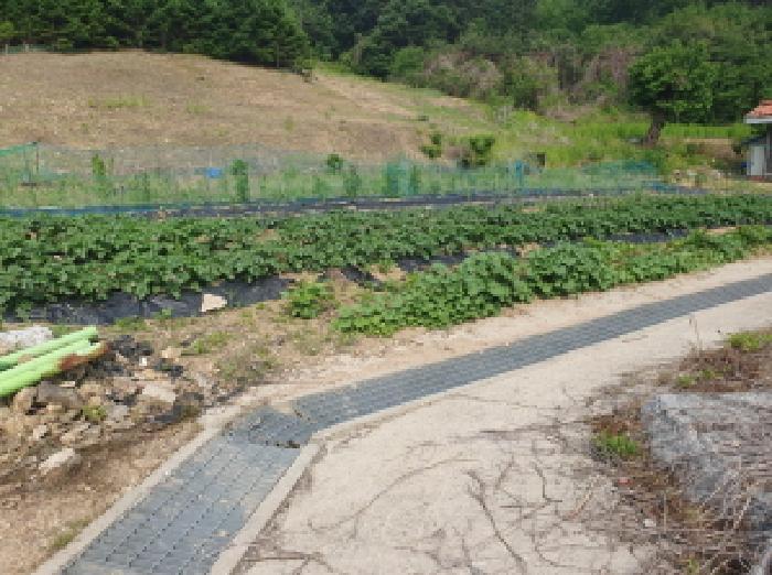 경기도 가평군 가평읍 산유리 산113-1 임야 경매 사진 13