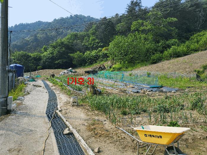 경기도 가평군 가평읍 산유리 산113-1 임야 경매 사진 2