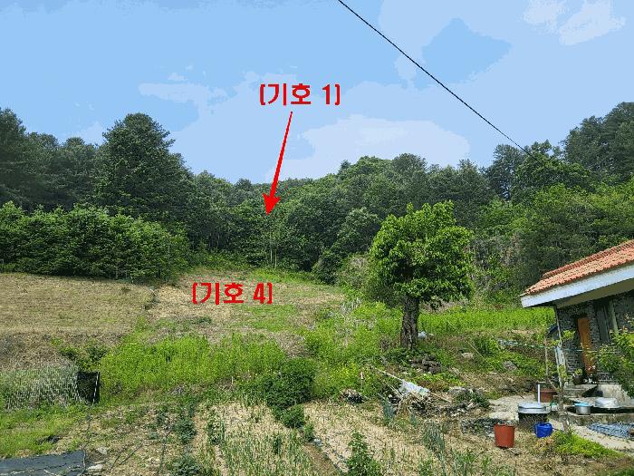 경기도 가평군 가평읍 산유리 산113-1 임야 경매 사진 3