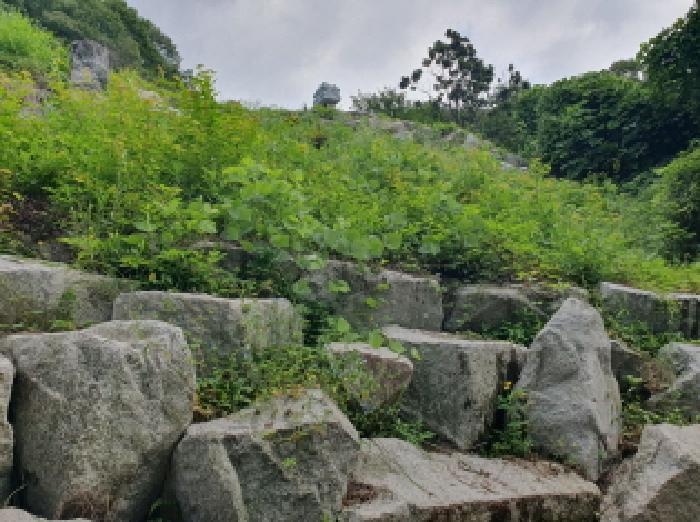 경기도 가평군 북면 목동리 32 전 경매 사진 19