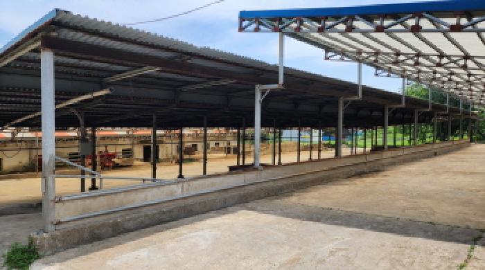 울산광역시 울주군 두서면 미호리 815 축사(농가시설) 경매 사진 18