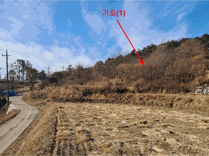 울산광역시 울주군 서생면 화산리 산17-4 임야 경매 사진 3