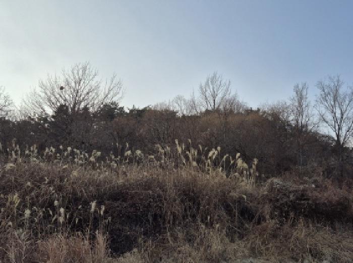 울산광역시 울주군 서생면 화산리 산17-4 임야 경매 사진 5