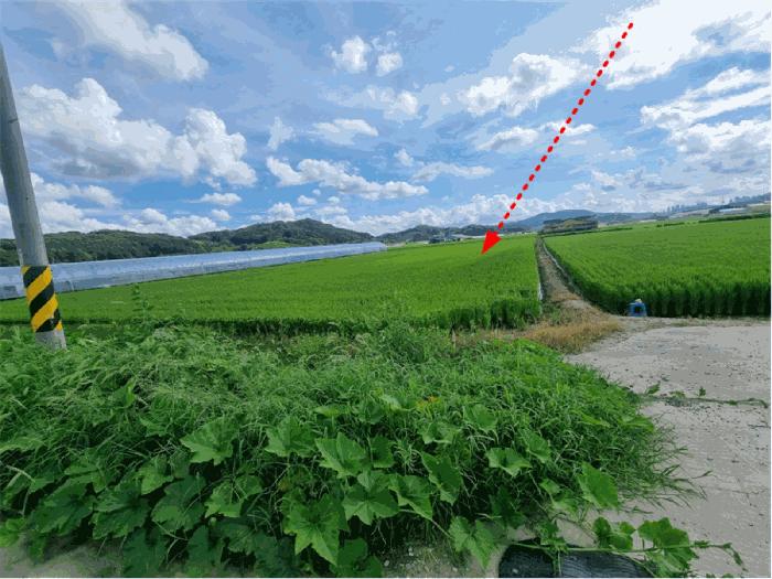 충청남도 연기군 동면 문주리 970-5 답 경매 사진 1