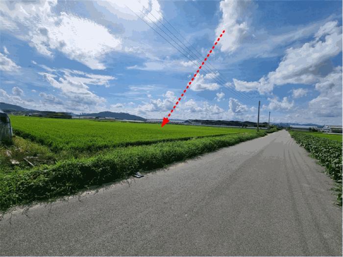 충청남도 연기군 동면 문주리 970-5 답 경매 사진 3