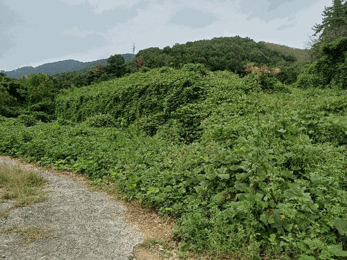 경상남도 김해시 주촌면 덕암리 55 공장용지 경매 사진 1