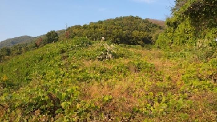 경상남도 김해시 주촌면 덕암리 55 공장용지 경매 사진 7