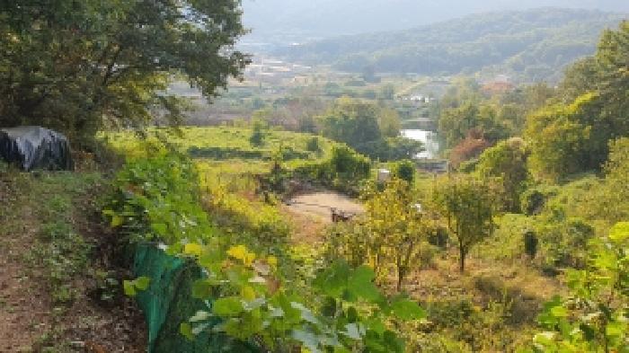 경상남도 김해시 주촌면 덕암리 55 공장용지 경매 사진 8