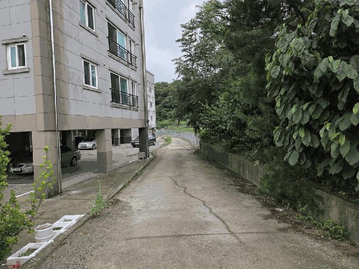 세종특별자치시 장군면 도계리 272-7 다가구주택 경매 사진 8