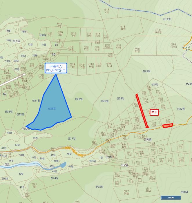 충청북도 청주시 상당구 남일면 송암리 산24-3 임야 경매 사진 6