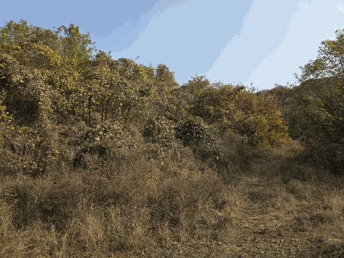 충청북도 청주시 상당구 남일면 송암리 산24-40 임야 경매 사진 2