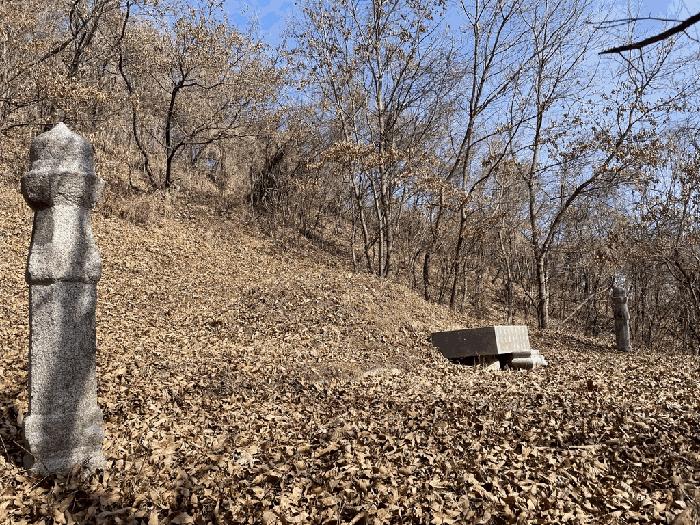 충청북도 괴산군 감물면 오성리 산35-8 임야 경매 사진 3