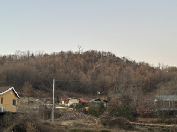 충청북도 괴산군 감물면 오성리 산35-8 임야 경매 사진 5