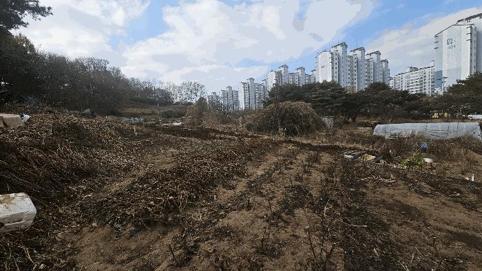 충청북도 청주시 서원구 산남동 34-9 전 경매 사진 2