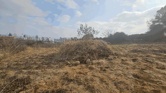 충청북도 청주시 서원구 산남동 34-9 전 경매 사진 3