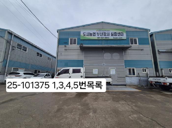부산광역시 강서구 대저2동 4902 근린시설 경매 사진 11