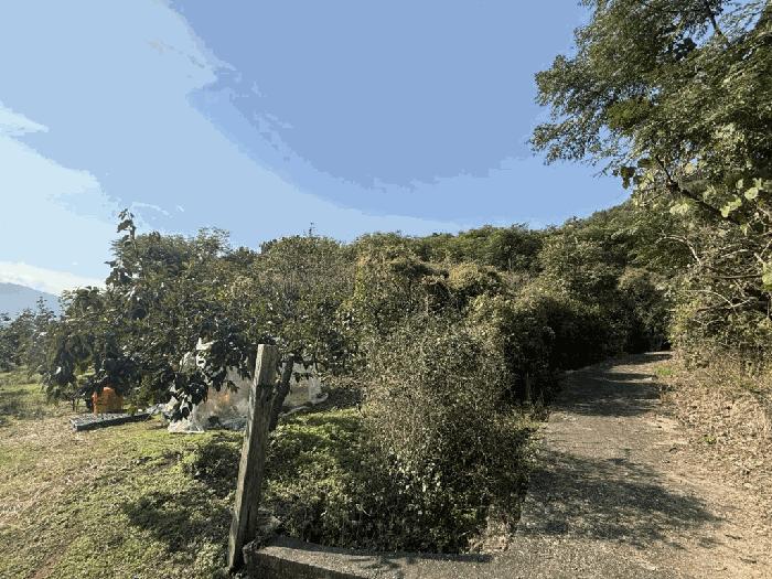 경상남도 김해시 진영읍 신용리 426 과수원 경매 사진 1